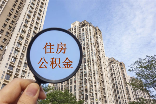 景德镇提取公积金正规中介（提取公积金 正规中介）